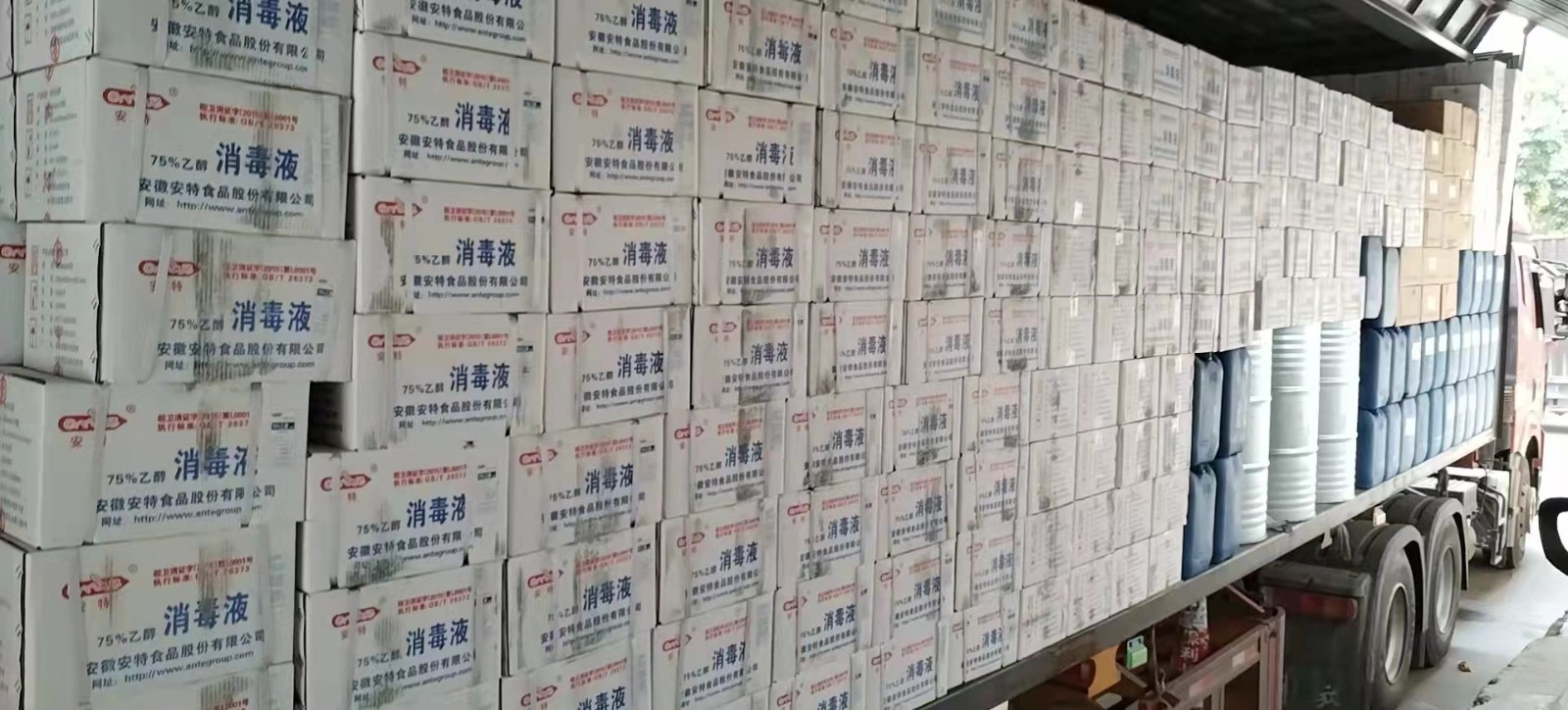 共同抗疫 共同抗疫